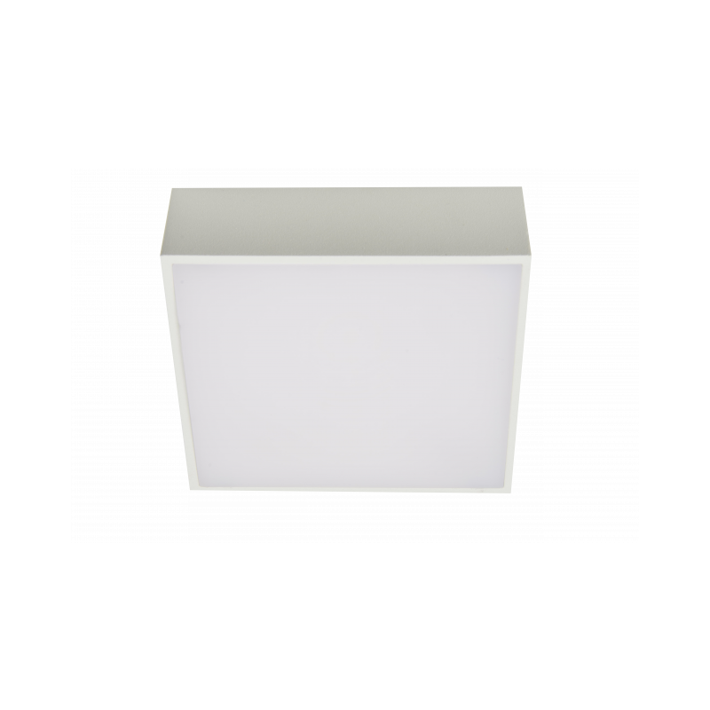 Falco 12 4000K White