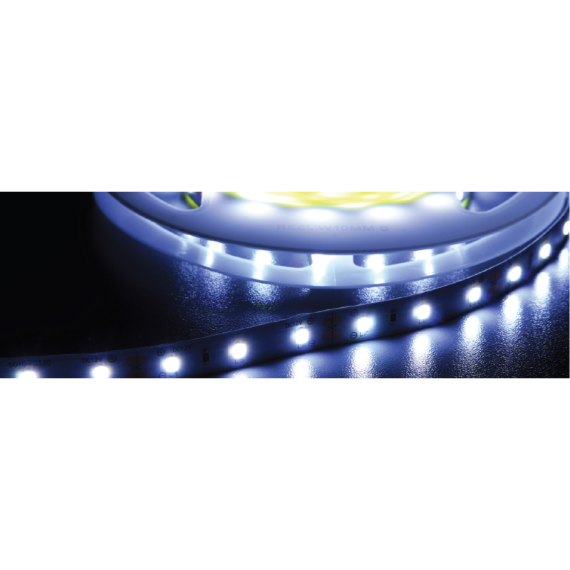 Hqs-12W-60Led-Cw-12V-50M