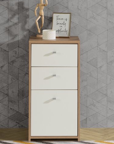 Wąska komoda z 2 szufladami i szafką Best Chest 211, biały/dąb artisan