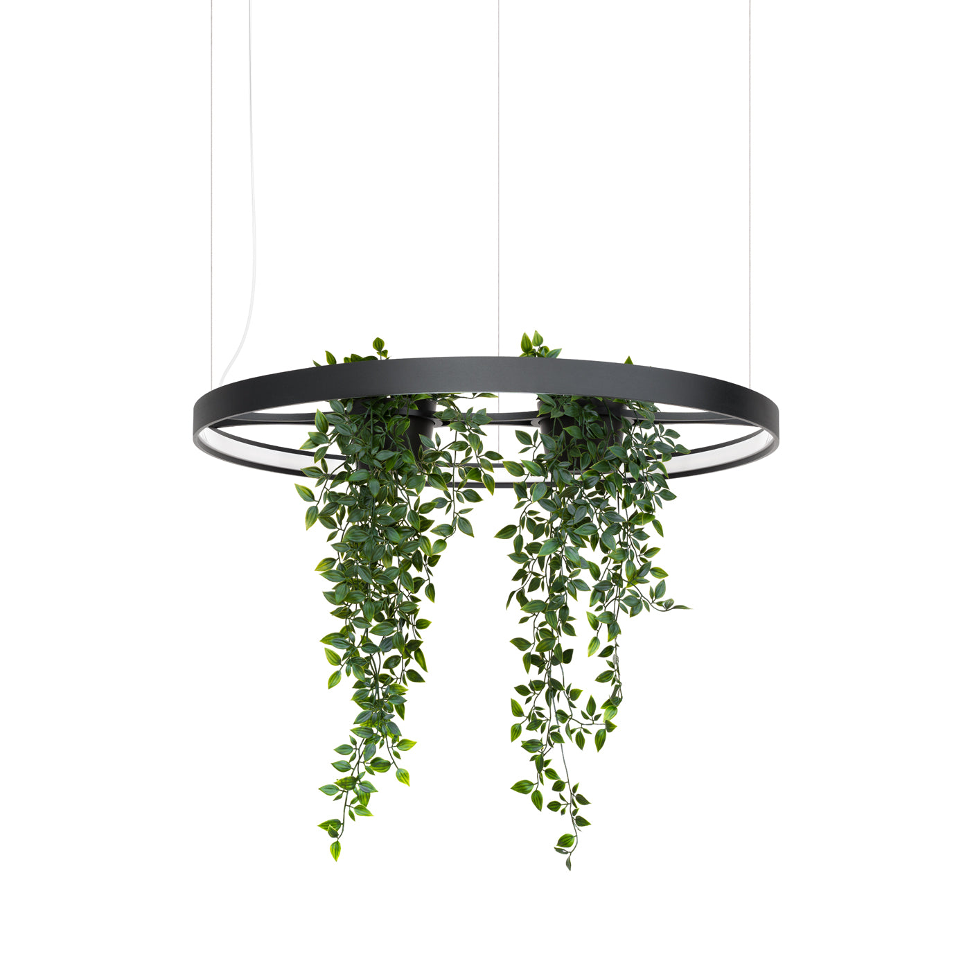 Żyrandol Rio Bio LED 78 cm czarny 4000K