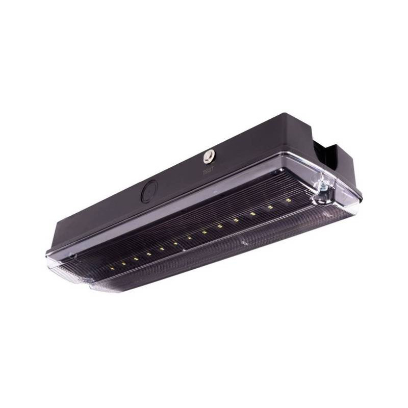 Oprawa Ewakuacyjna/Awaryjna Orion Led Ii 150 Sa 3H Ct Lt Ip65 + (Or6, Or7, Or8) / Wersja Lt (Układ Grzejny Z Termostatem) / 9134