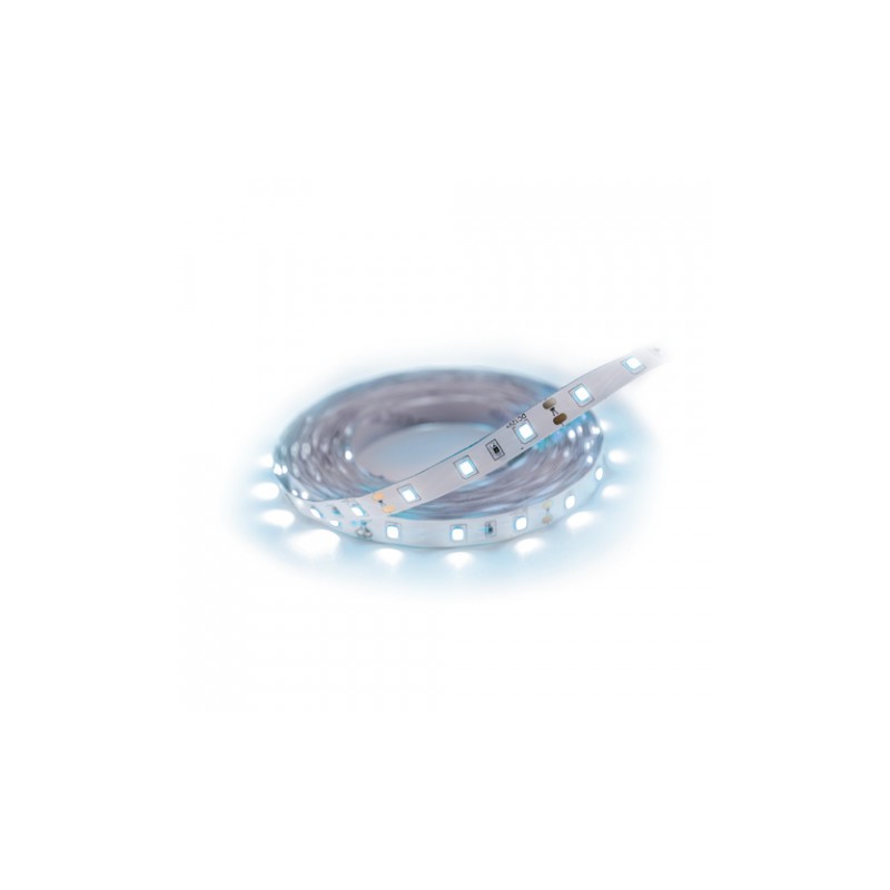 Late Led 5M 300 Cw Ip65