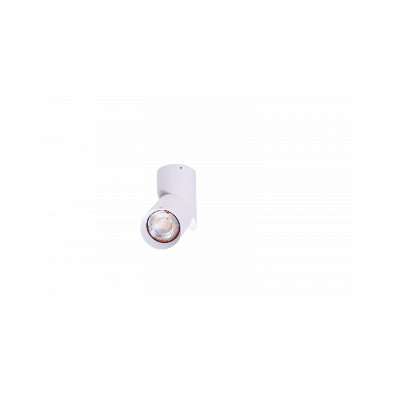 Jednopunktowa Lampa Sufitowa Santos Gu10 Wh Az4200