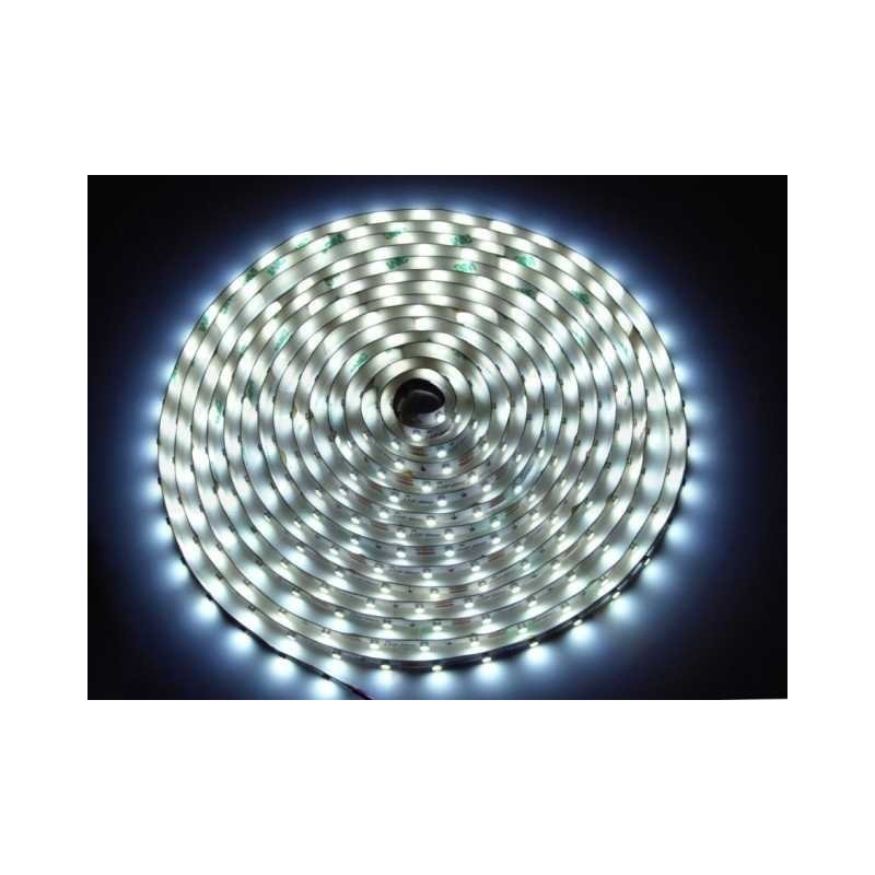 Led Line™ Taśma 300 Smd 12V 11000K 4,8W -5M